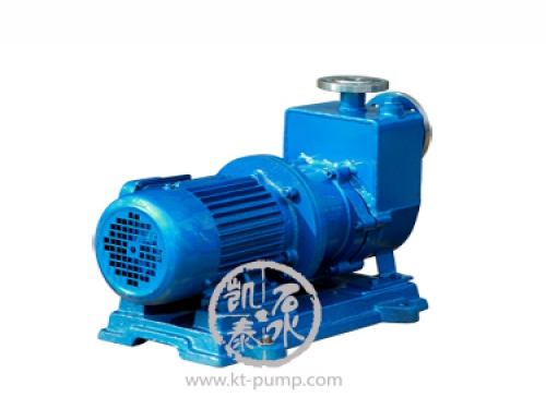 ZCQ型自吸式磁力驅(qū)動(dòng)泵