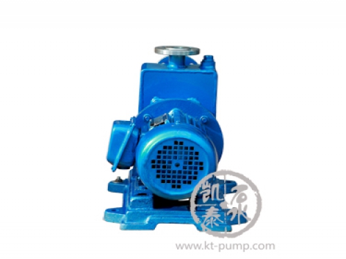 ZCQ型自吸式磁力驅(qū)動(dòng)泵